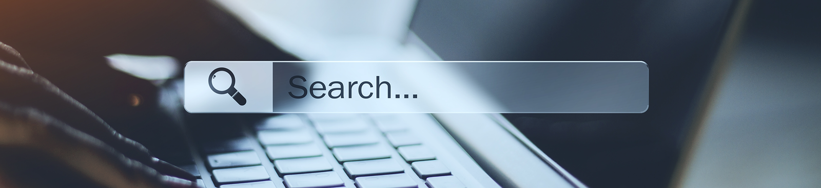 SEO Services | AdamIS Tech SEO Services — AdamIS Tech